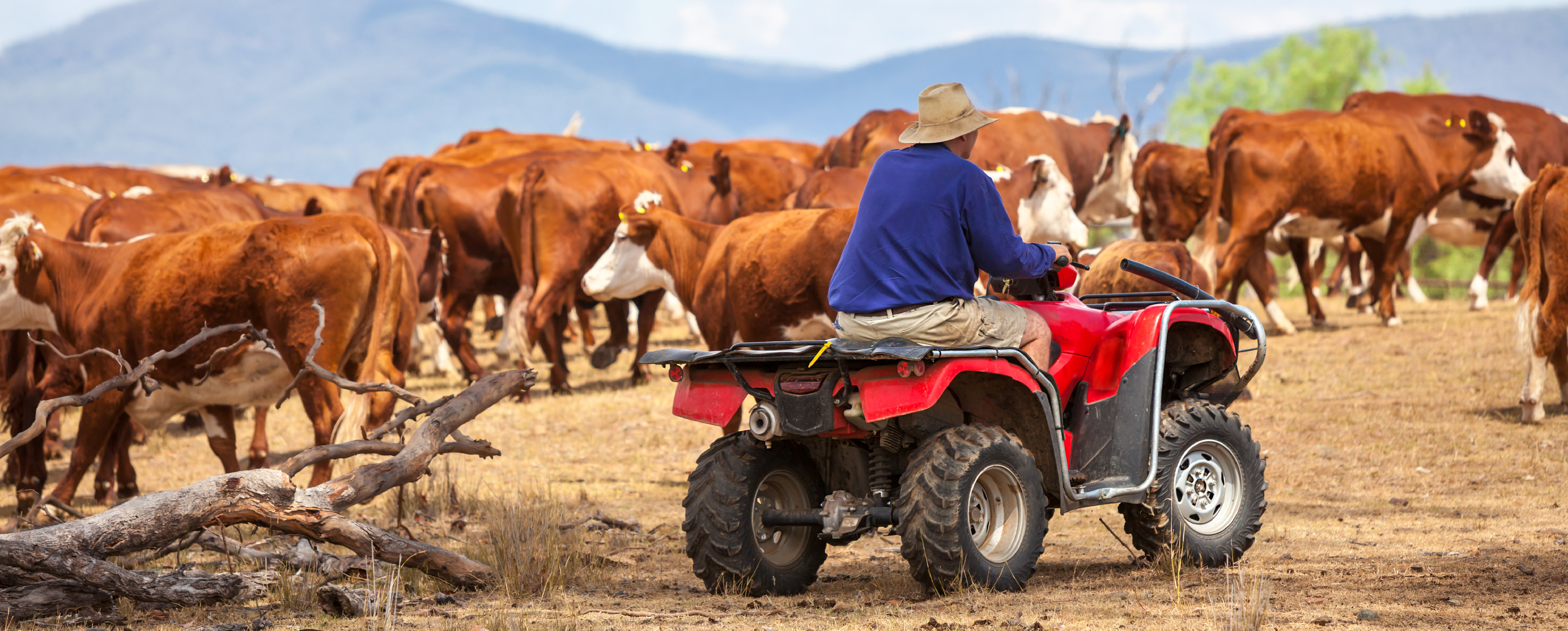 Rising farmland values: The case for personalised financial advice