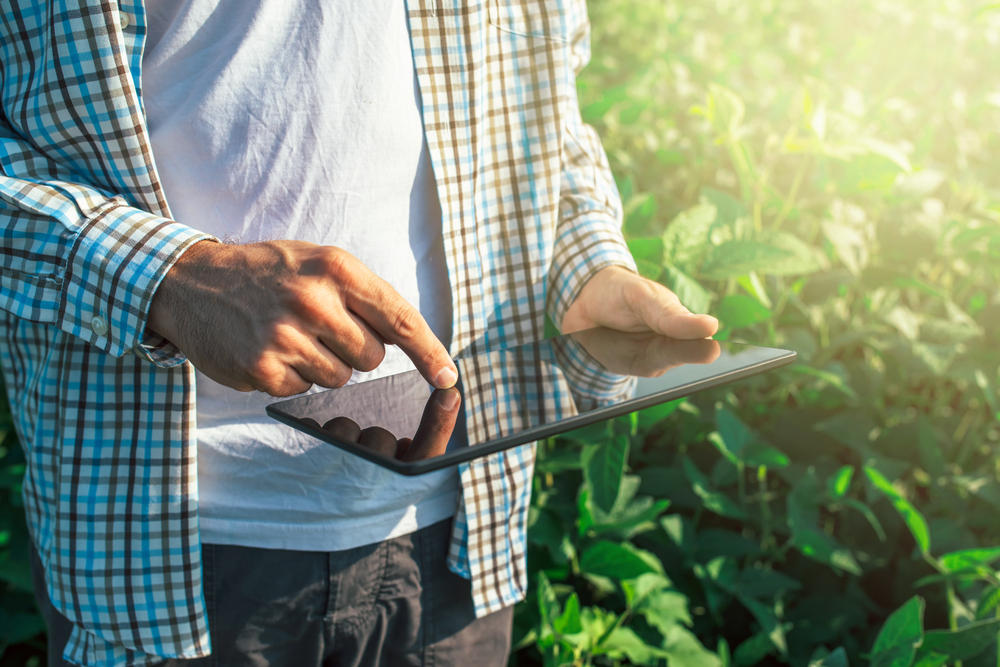 Man on tablet in a field 